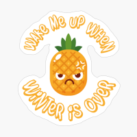 Wake Me Up When Winter Is Over - Funny Christmas Gift For A Summer Lover