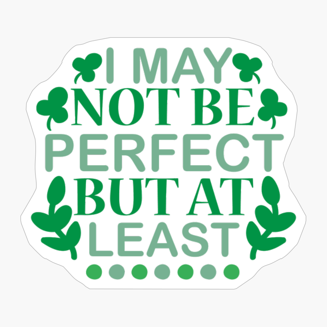 I May Not Be Perfect But At Least Im Not You