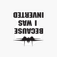 Funny Movie Quote, "because I Was Inverted"