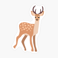 Cute Deer