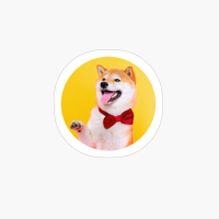 Doggo X Funny Dog X Animals