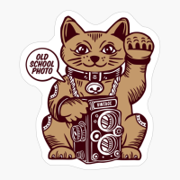 Lucky Cat Vintage Camera Photography Maneki Neko