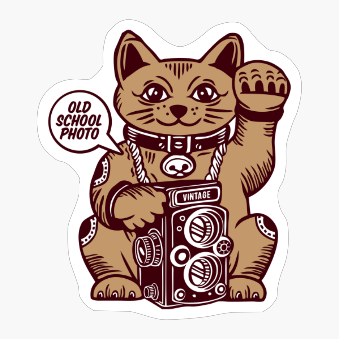 Lucky Cat Vintage Camera Photography Maneki Neko
