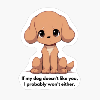 Poodle: "If My Dog Doesnt Like You, I Probably Wont Either."