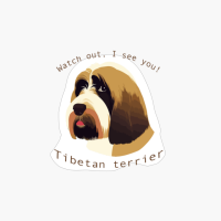 Tibetan Terrier Invasion