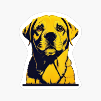 Portrait Of A Yellow Dog Looking Up, Dog Lovers