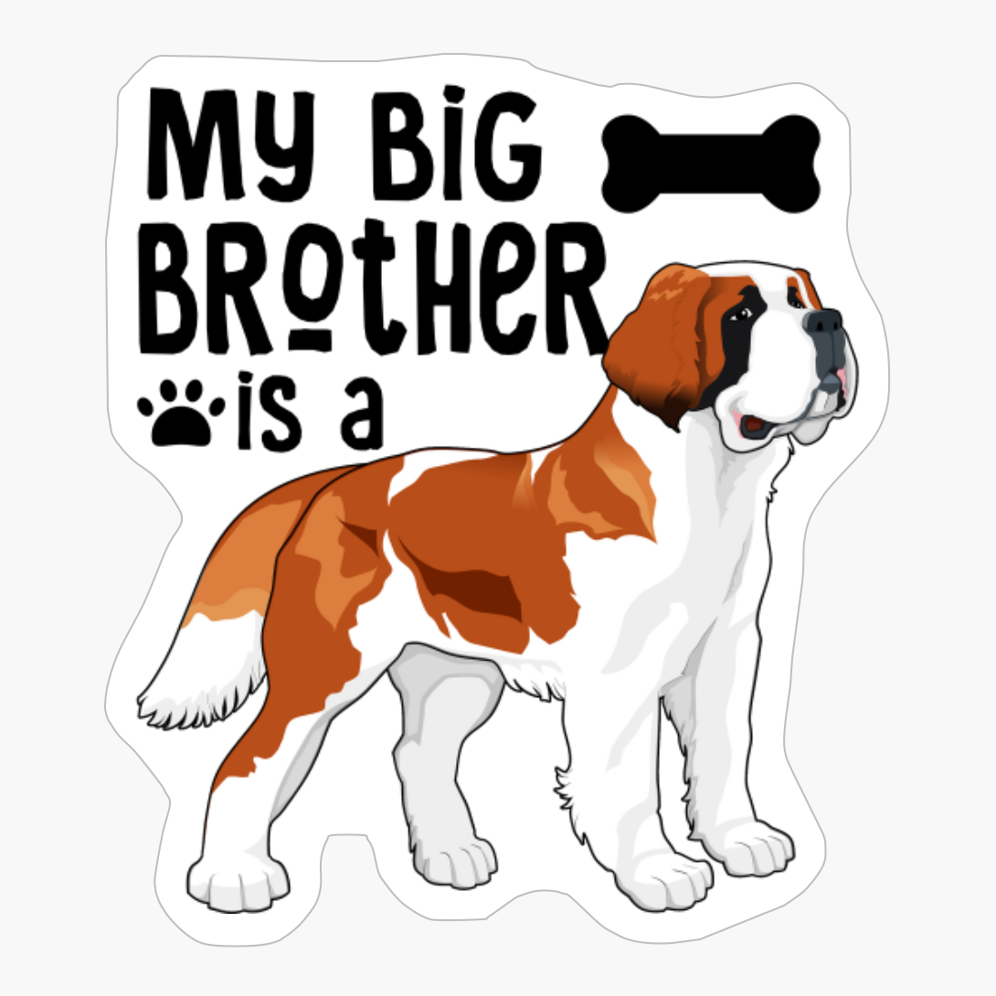 My Big Brother Is A Saint Bernard