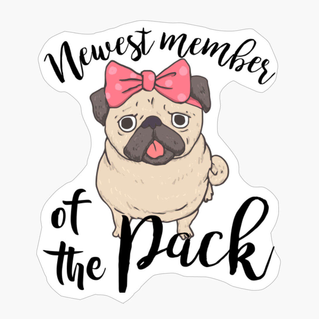 Pug Newest Member Of The Pack