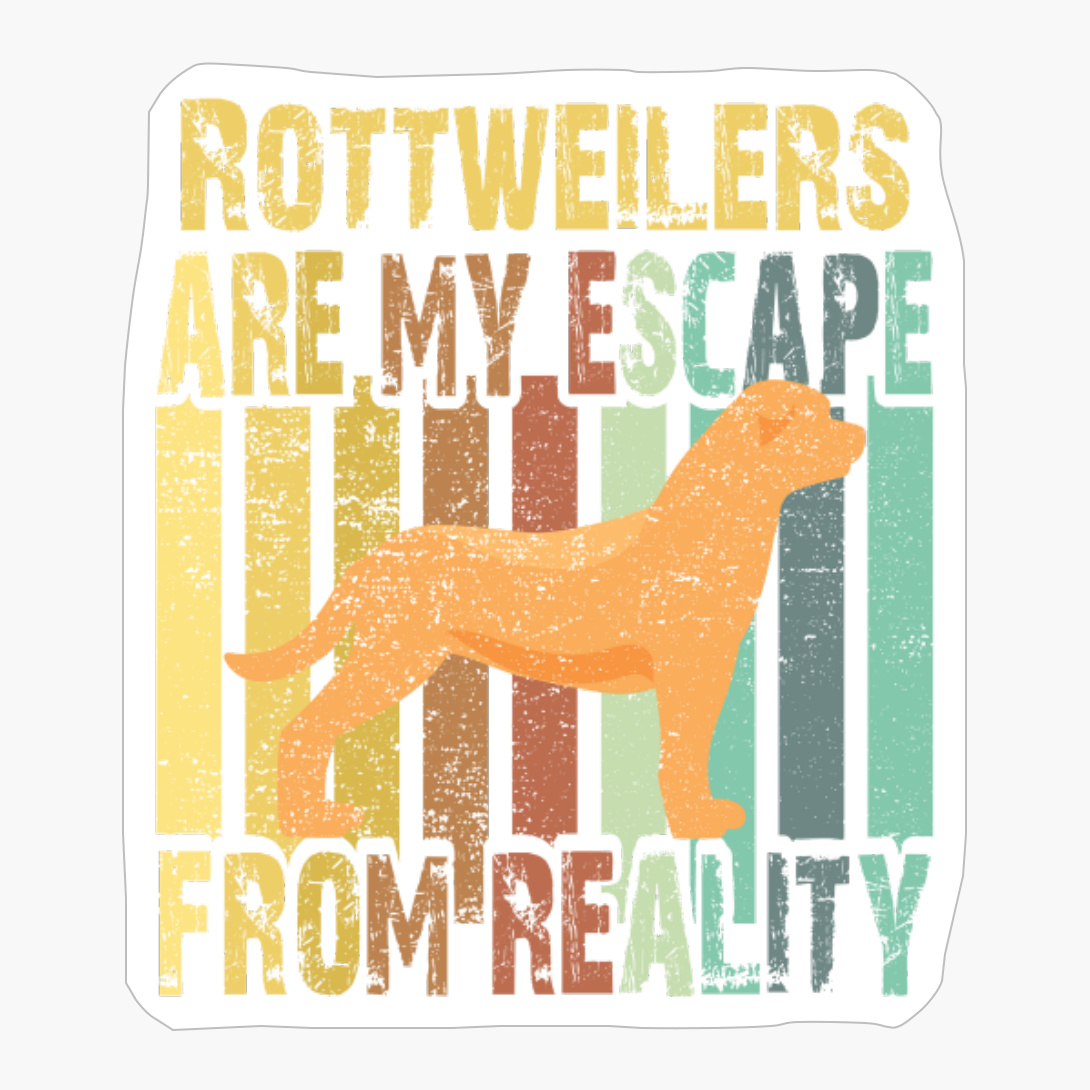 Rottweilers Are My Escape From Reality