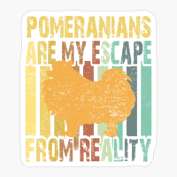 Pomeranians Are My Escape From Reality