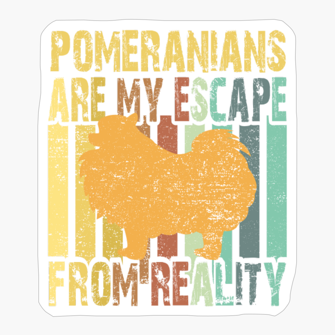 Pomeranians Are My Escape From Reality