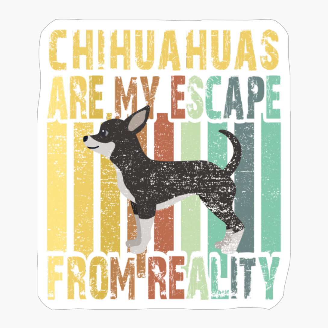 Chihuahuas Are My Escape From Reality