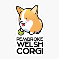 Pembroke Welsh Corgi