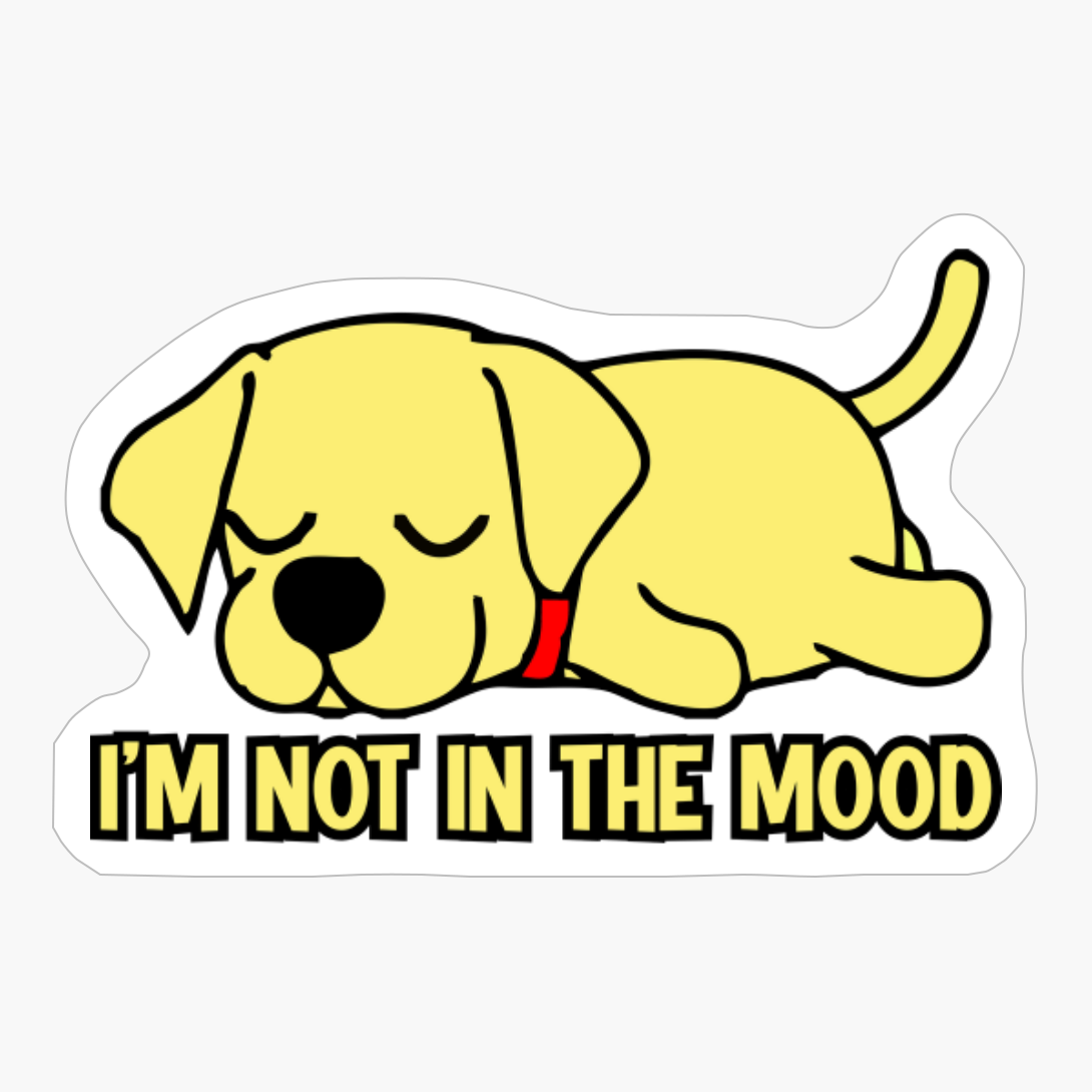 I'm Not In The Mood Funny Dog