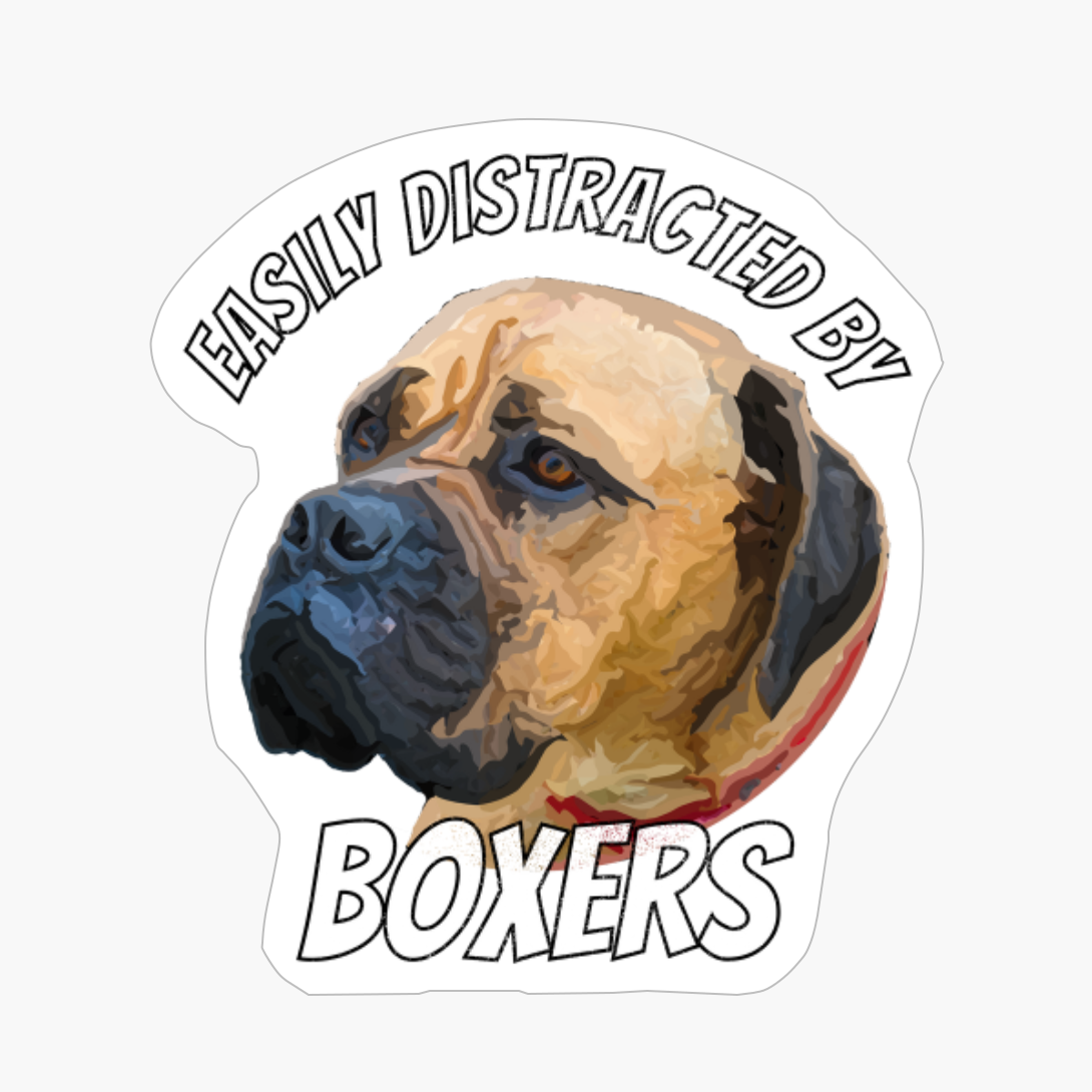 Easily Distracted By Boxers Boxer Dog