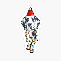 Funny Christmas Tree Light Bulb Harlequin Dane