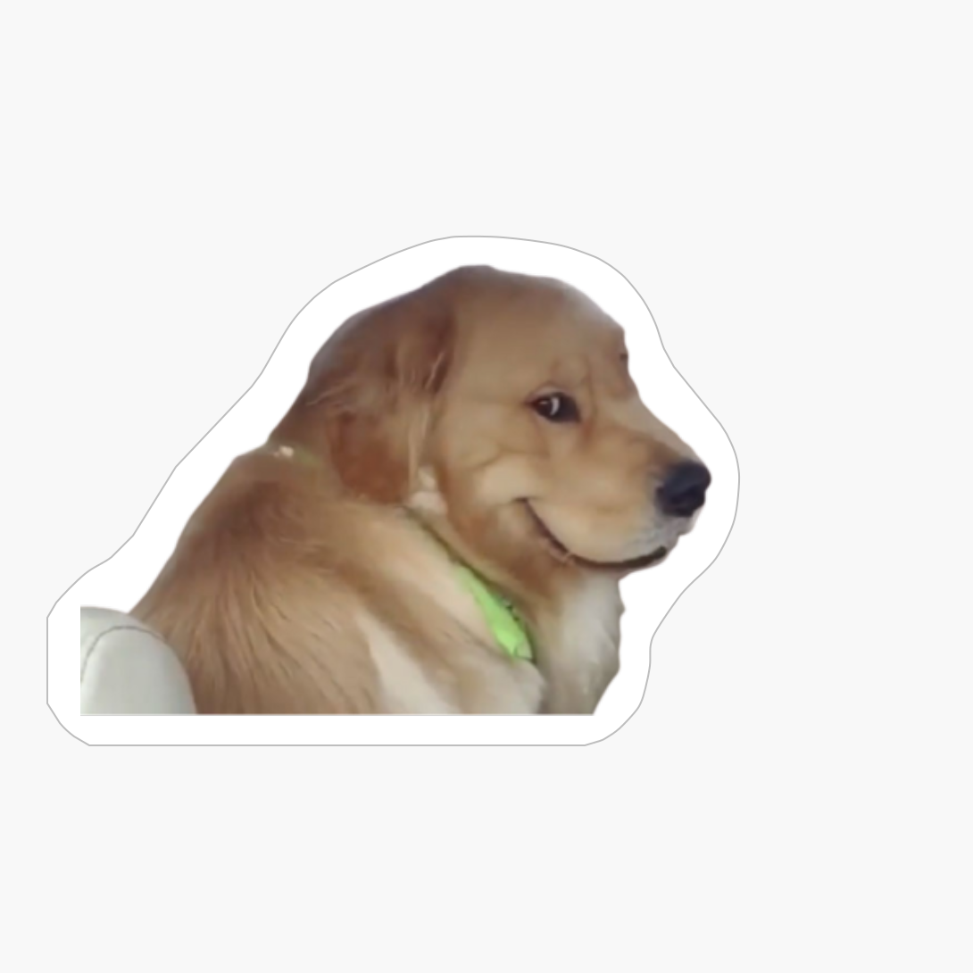 Evil Dog In Backseat, Evil Dog In Backseat Meme, Evil Dog In Backseat Smile, Evil Dog In Backseat Evil Smile