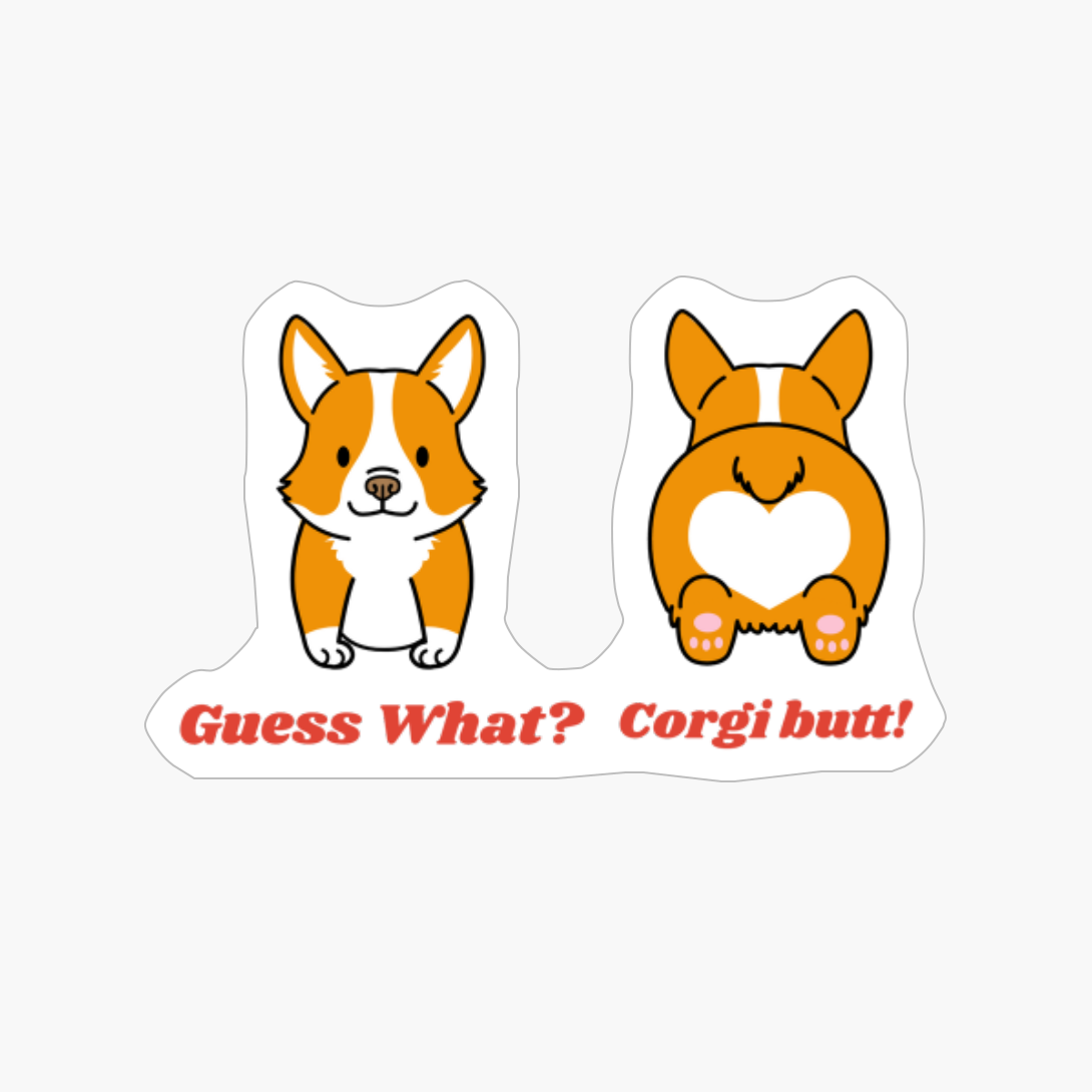 Guess What? Corgi Butt! Funny