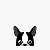 Peeking French Bulldog - Funny