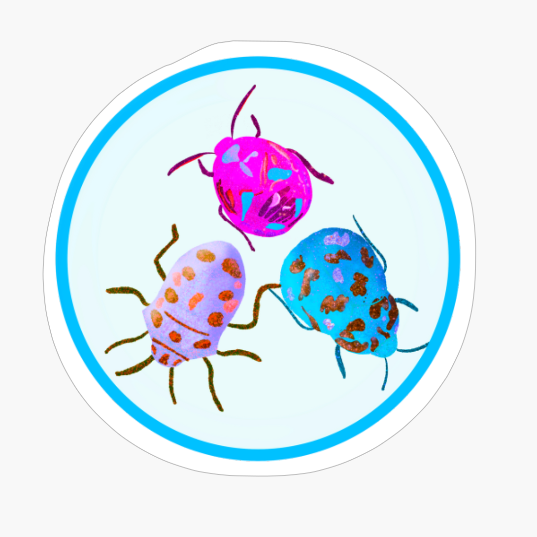 Beetle Illustration, Pattern, Green, Yellow, Orange, Pink, Purple, Blue