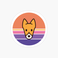 Sunset Walk With My Basenji