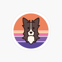 Sunset Walk With My Border Coolie