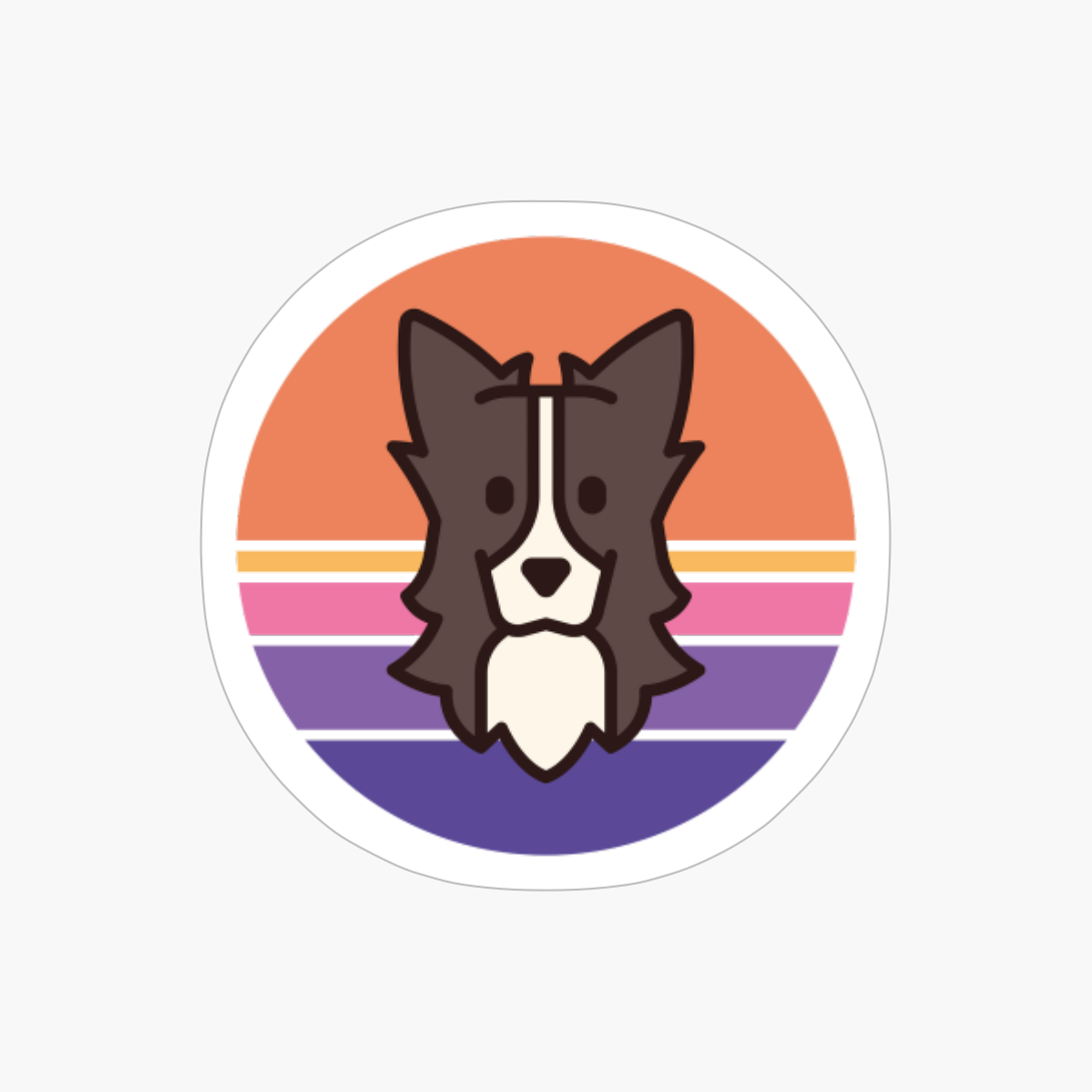 Sunset Walk With My Border Coolie