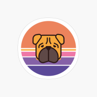 Sunset Walk With My Shar Pei