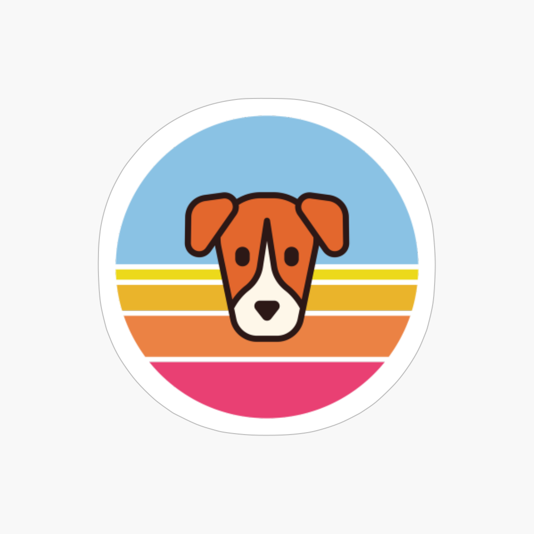 Sunset Walk With My Jack Russell Terrier