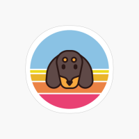 Sunset Walk With My Dachshund