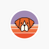 Sunset Walk With My St Bernard