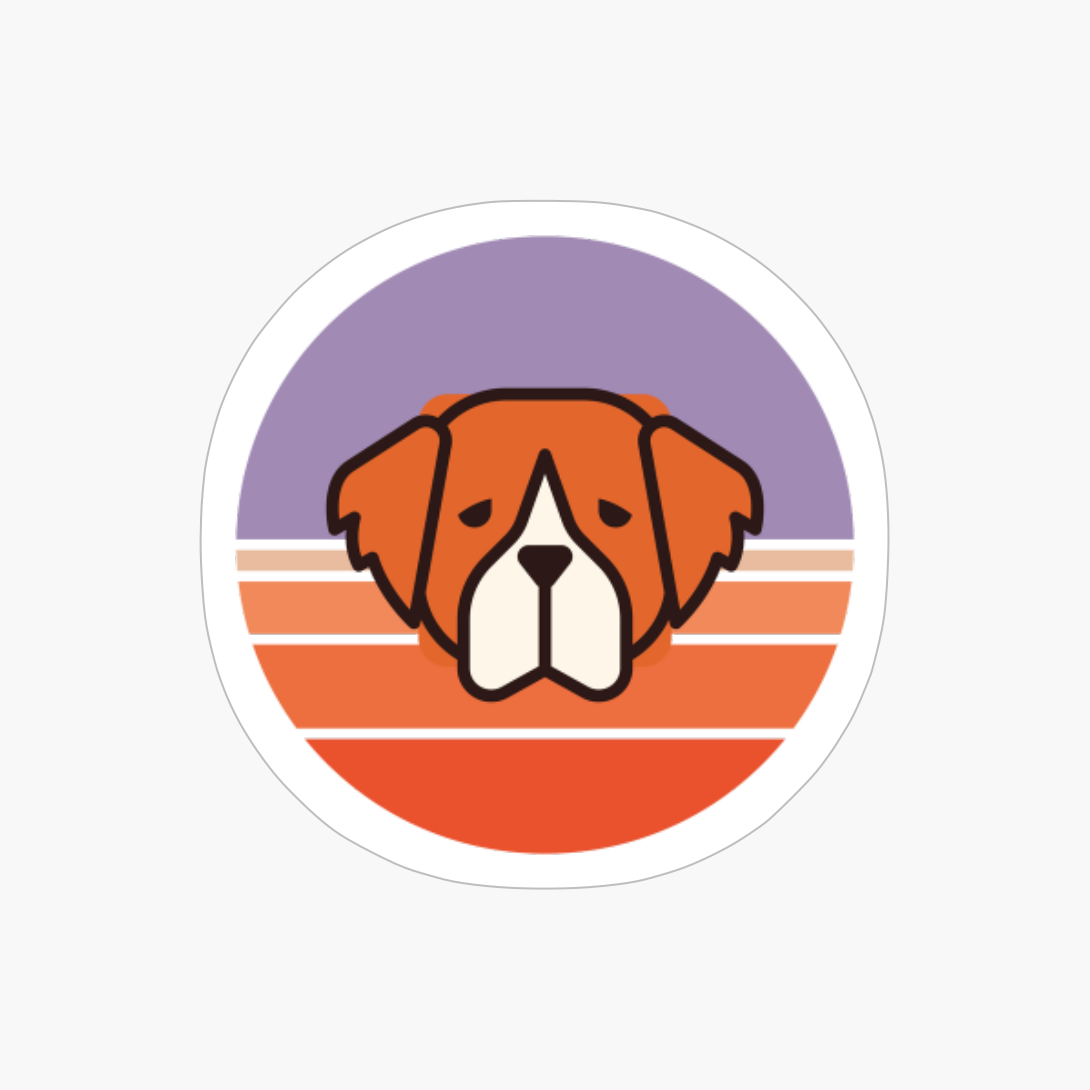 Sunset Walk With My St Bernard