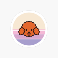 Sunset Walk With My Miniature Poodle