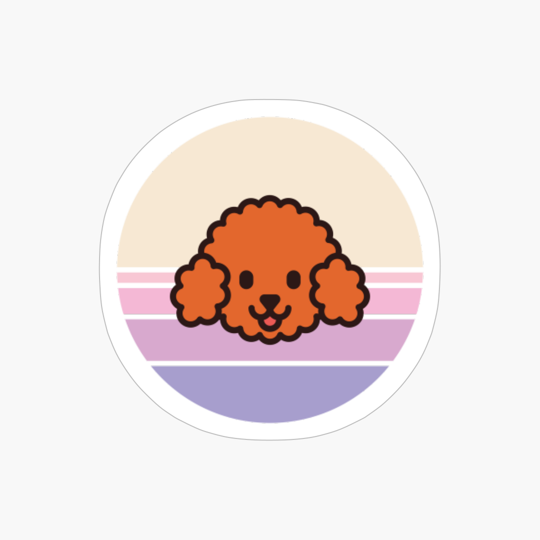 Sunset Walk With My Miniature Poodle