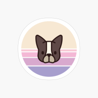 Sunset Walk With My French Bulldog