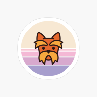 Sunset Walk With My Yorkshire Terrier