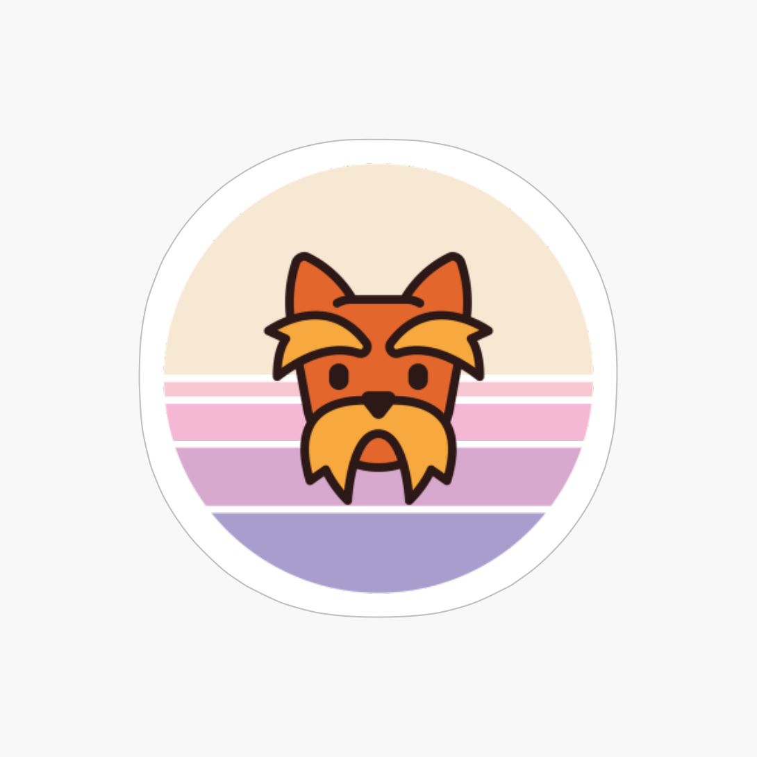 Sunset Walk With My Yorkshire Terrier