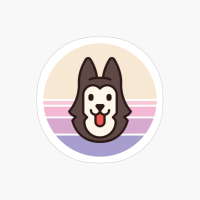 Sunset Walk With My Siberian Husky