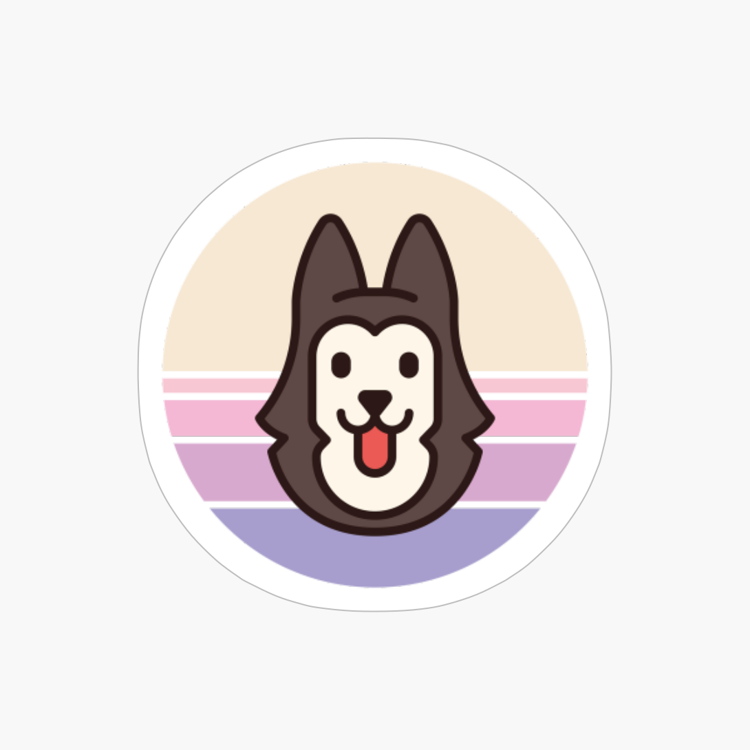 Sunset Walk With My Siberian Husky