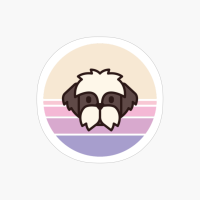 Sunset Walk With My Shih Tzu