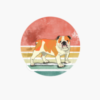 Vintage Bulldog Dog