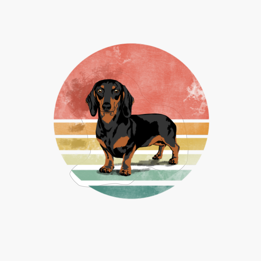 Vintage Dachshund Dog