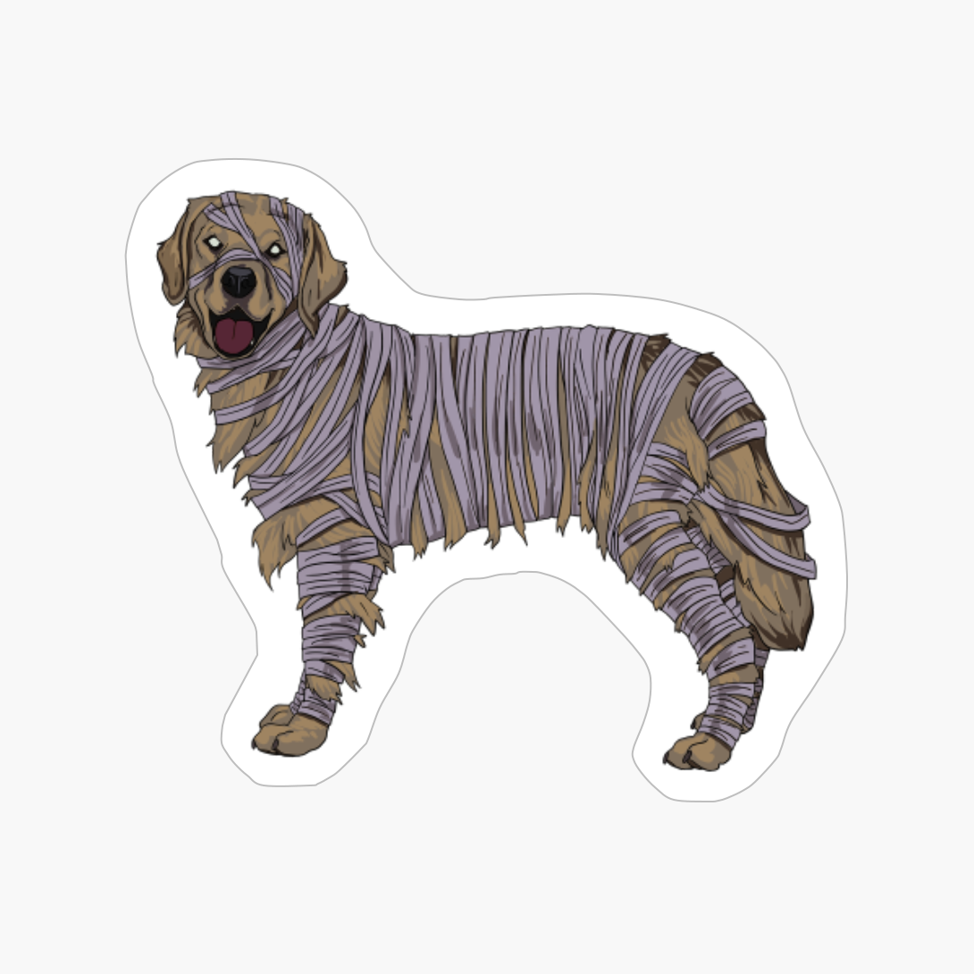 Golden Retriever Dog Mummy Halloween Costume Dog Lovers