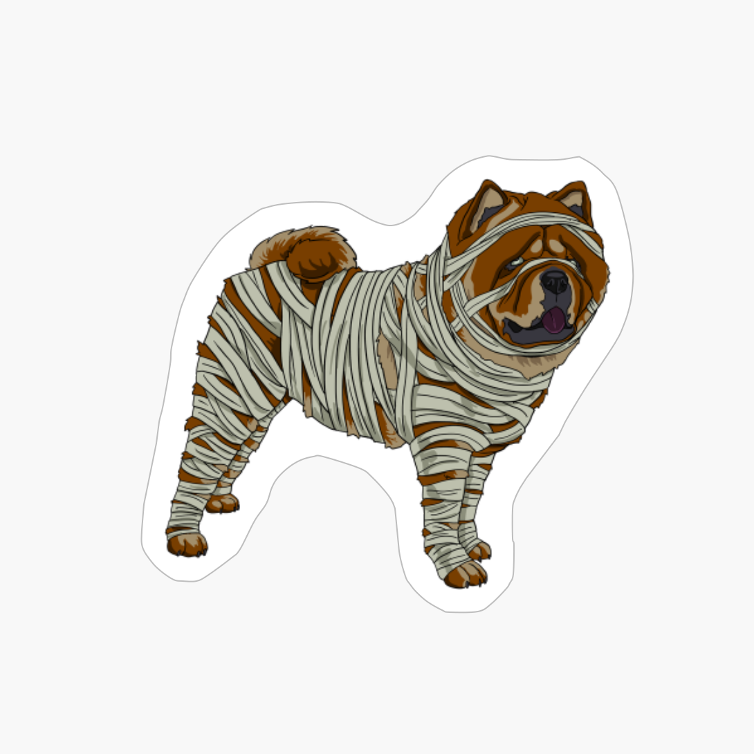 Chow Chow Dog Mummy Halloween Costume Dog Lovers