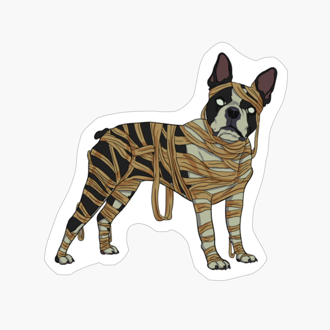 Boston Terrier Dog Mummy Halloween Costume Dog Lovers