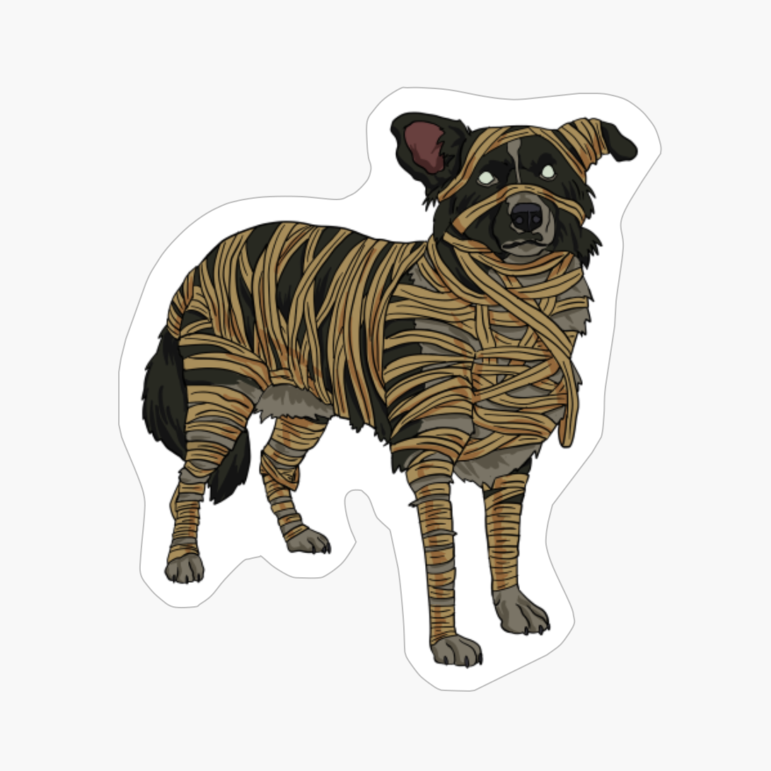 Border Collie Dog Mummy Halloween Costume Dog Lovers