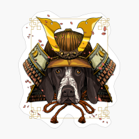 Samurai German Shorthaired Pointer Dog - Samurai Lovers