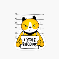 Cat Bitcoin Thief