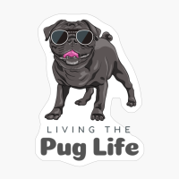 Living The Pug Life
