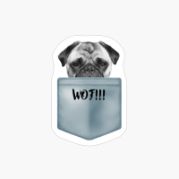 Pug In Shirt Pocket: Wof!!!